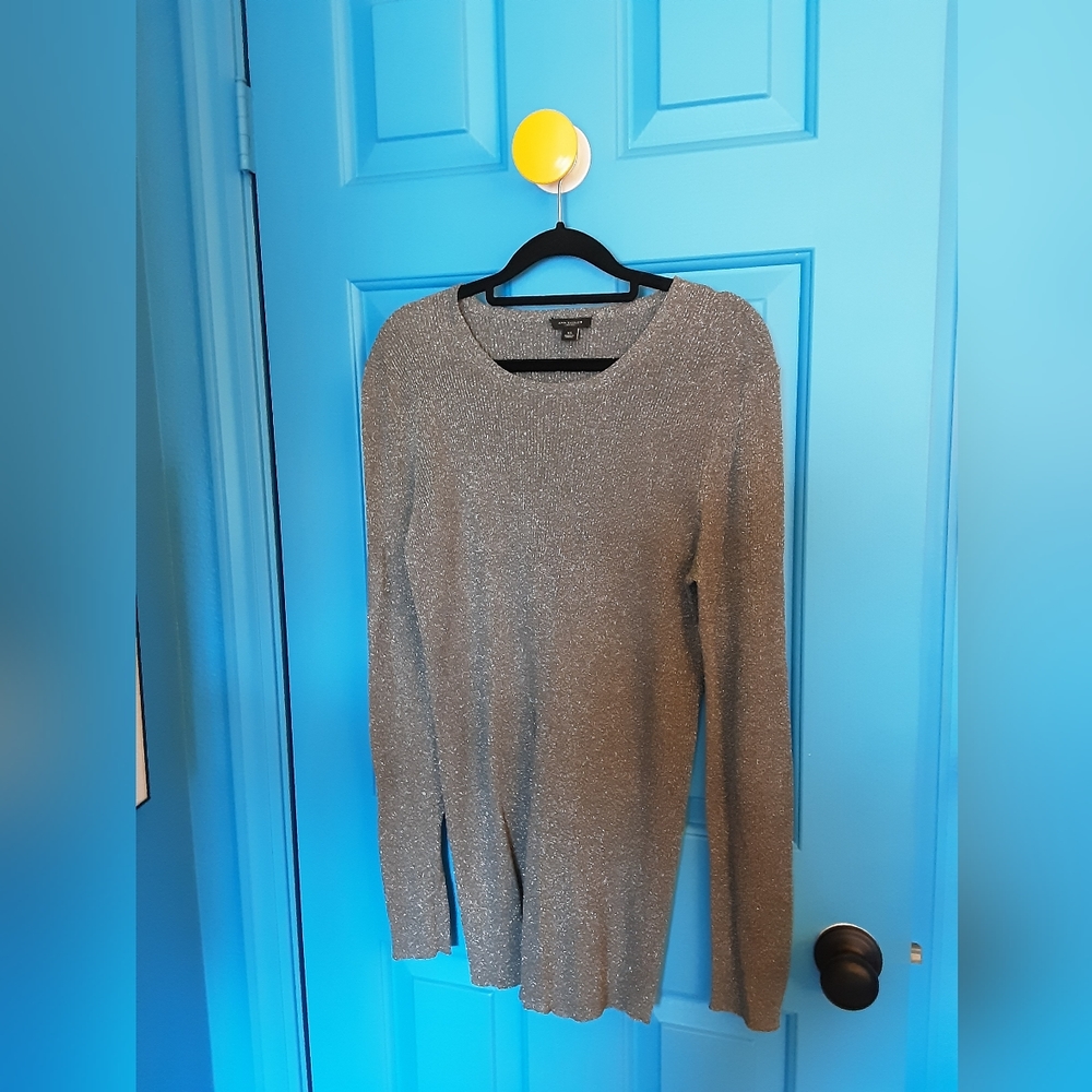 Glittery Silver Ann Taylor Top
